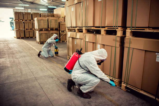 Best Ant Control Services  in Herriman, UT