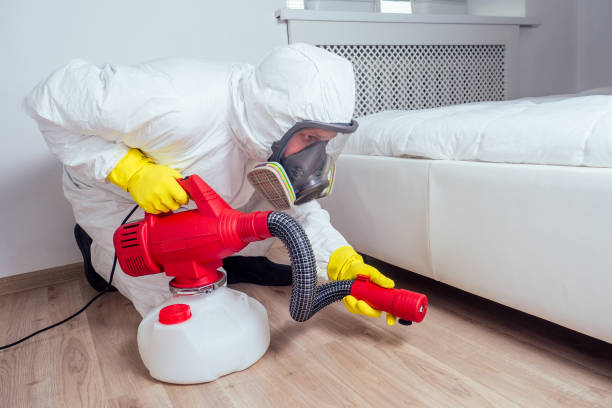 Best Termite Control Services  in Herriman, UT