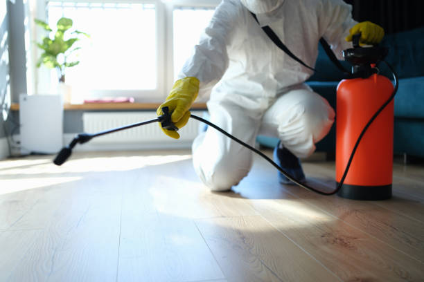Pest Prevention Services in Herriman, UT