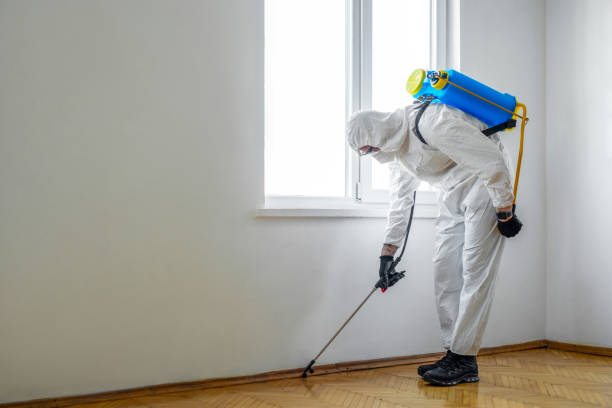 Best Commercial Pest Control Services  in Herriman, UT