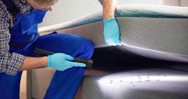 Best Rat Extermination Near Me  in Herriman, UT