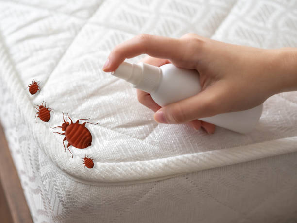 Best Exterminator Services  in Herriman, UT