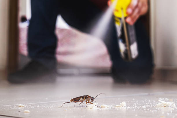 Best Best Pest Control Companies  in Herriman, UT