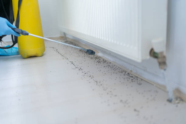 Best Pest Prevention Services  in Herriman, UT