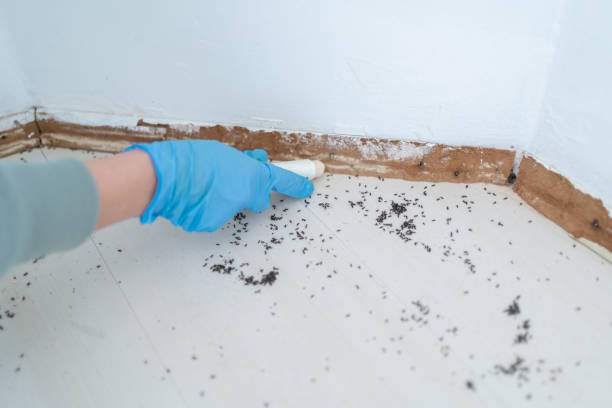 Best Bed Bug Extermination  in Herriman, UT