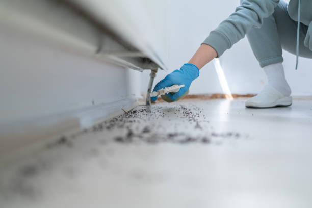 Best Pest Prevention Services  in Herriman, UT