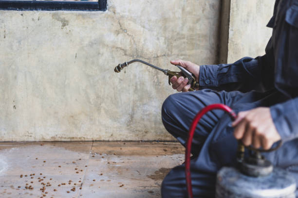 Best Affordable Pest Control Services  in Herriman, UT