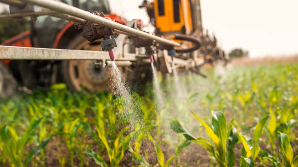 Best Mosquito Control Services  in Herriman, UT