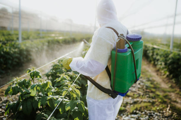Best Pest Control Near Me in Herriman, UT